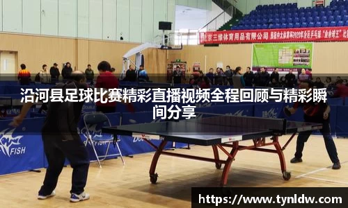 星欧娱乐