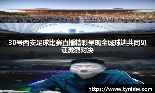 星欧娱乐登录